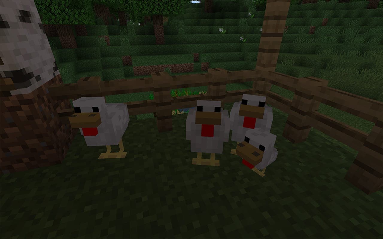 How to Tame a Chicken in Minecraft
