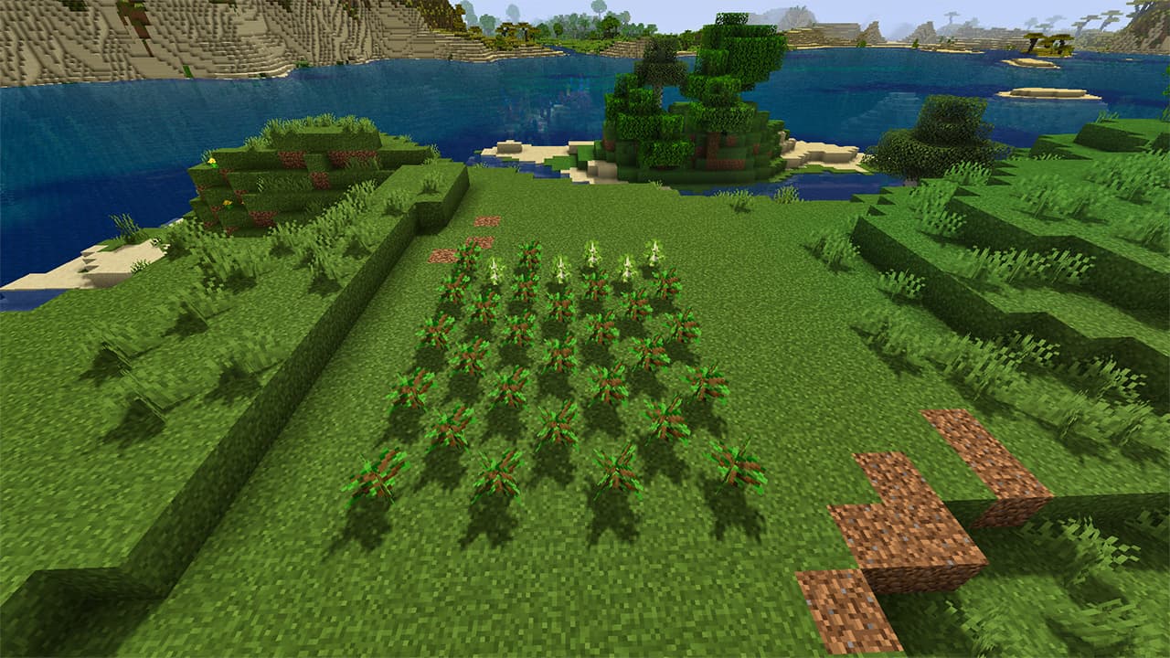 How to Grow a Tree Farm in Minecraft